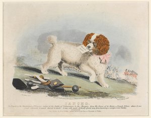 ; सांचो , सलामांका की लड़ाई, 1812