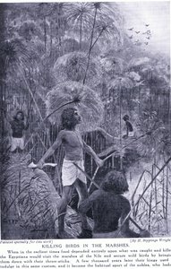 पक्षियों को मारना दलदल में, c.1920 द्वारा हेनरी चार्ल्स सेपिंग्स राइट