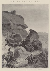 ट्रांसवाल युद्ध