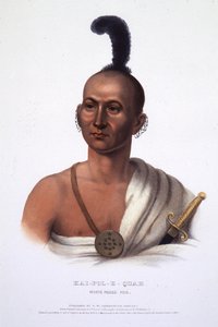  द्वारा हेनरी इनमान