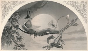 एरियल द टेम्पेस्ट, सी 1870