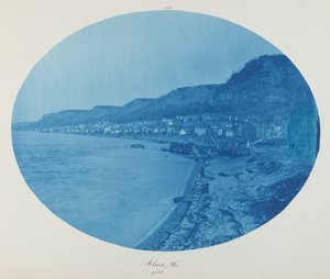 अल्मा, विस.