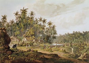1809 में प्रकाशित डैनियल हैवेल (1785-1826) द्वारा उकेरी गई प्वाइंट डु गाले, सीलोन के पास का दृश्य द्वारा हेनरी साल्ट