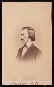 1865 और 1870 के बीच थिओडोर निकोलस गिल 1837-1914 का पोर्ट्रेट। द्वारा हेनरी उलके