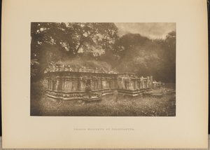  द्वारा हेनरी डब्ल्यू गुफा