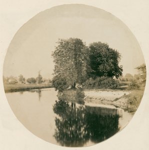 शीर्षक रहित [वेयब्रिज के पास टेम्स], सी। 1856.