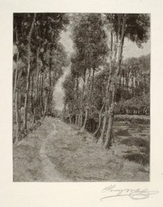  द्वारा हेनरी वुल्फ