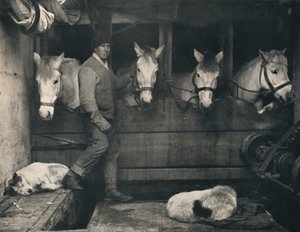 कैप्टन ओट्स, साइबेरियन पोनीज़ के साथ टेरा नोवा पर, c1911, 1914।