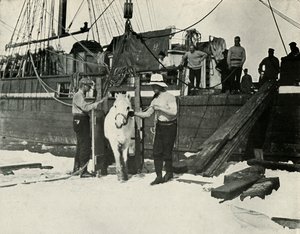 पोनीज़ से अलग, c19101913, 1913 द्वारा हर्बर्ट पोंटिंग