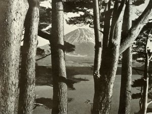 फ़ूजी और पाइन के पेड़, 1910। द्वारा हर्बर्ट पोंटिंग