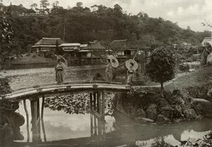हिकोने, 1910। द्वारा हर्बर्ट पोंटिंग