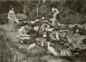 लोटस-लैंड, 1910 में। द्वारा हर्बर्ट पोंटिंग