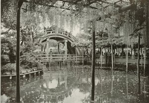 कमेइडो, 1910। द्वारा हर्बर्ट पोंटिंग