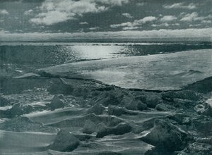 पैक में चांदनी, c19101913, 1913 द्वारा हर्बर्ट पोंटिंग