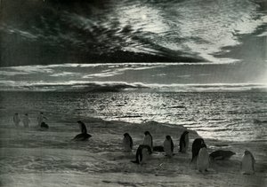 McMurdo साउंड में द मिडनाइट सन, c19101913, 1913 द्वारा हर्बर्ट पोंटिंग
