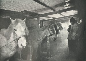 शीतकालीन में अस्तबल, c19101911, 1913 द्वारा हर्बर्ट पोंटिंग