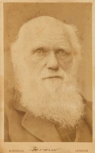 चार्ल्स डार्विन का पोर्ट्रेट 1809-1882, 1881।