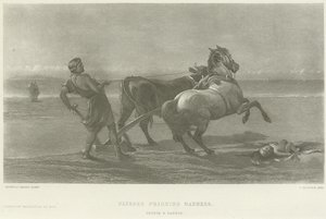 Ulysses feigning पागलपन (गुरुत्वाकर्षण)