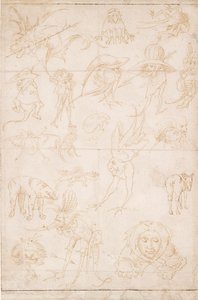 विचित्र अध्ययन, c1500-1520 द्वारा हिरेमस बॉश