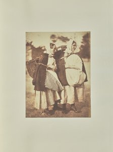  द्वारा हिल और एडमसन