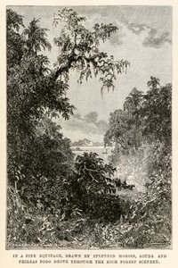 शानदार घोड़ों द्वारा तैयार किए गए एक बढ़िया साज-सज्जा में, लाउड फॉरेस द्वारा (1828-1905) जूडे वर्ने (1828-1905) द्वारा अस्सी के दिनों में दुनिया भर के समृद्ध जंगल के दृश्यों के माध्यम से, आउडा और फिलास फॉग ने आकर्षित किया।