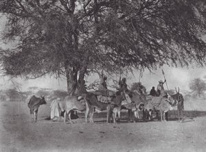  द्वारा ह्यूगो एडोल्फ बर्नात्ज़िक