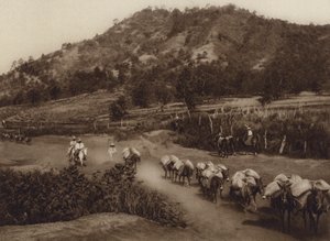  द्वारा ह्यूगो ब्रेहमे