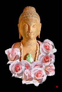 बुद्ध द्वारा ह्यूगो नेफे