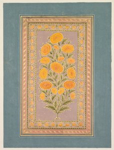फूल गेंदा, सी। 1765. द्वारा हुनर II