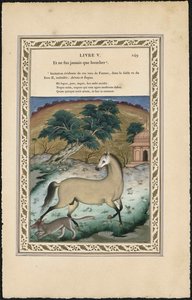 द हॉर्स एंड वुल्फ द हॉर्स एंड वुल्फ, 1837-1839। द्वारा इमाम बख्श लाहौरी
