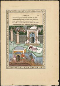 सोंग डन आदतन दू मोगोल द मोगल्स ड्रीम, 1837-1839। द्वारा इमाम बख्श लाहौरी