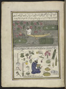  द्वारा इंडियन स्कूल