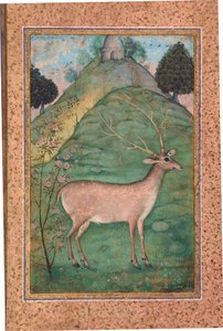 एक लैंडस्केप में बक, c.1595 (कागज पर अपारदर्शी wc और सोना) द्वारा इंडियन स्कूल
