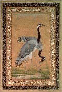  द्वारा इंडियन स्कूल