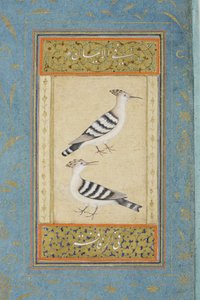 घेरा, c.1590 (कागज पर अपारदर्शी wc और सोना) द्वारा इंडियन स्कूल
