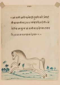 अश्व (कागज पर अपारदर्शी wc) द्वारा इंडियन स्कूल