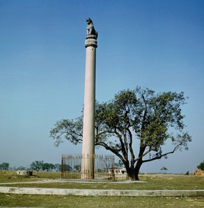 सम्राट अशोक का सिंह स्तंभ (c.264-223 ईसा पूर्व) द्वारा इंडियन स्कूल