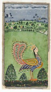 एक महिला के सिर के साथ पौराणिक मोर, हैदराबाद, c.1750 द्वारा इंडियन स्कूल