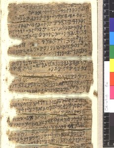  द्वारा इंडियन स्कूल