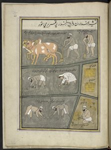  द्वारा इंडियन स्कूल