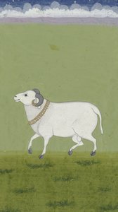 गोल्डन कॉलर के साथ राम, 1700-1799 द्वारा इंडियन स्कूल