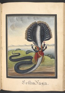  द्वारा इंडियन स्कूल
