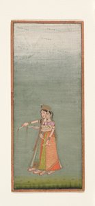 आतिशबाजी के साथ दो कोर्ट लेडीज, सी .1725 द्वारा इंडियन स्कूल