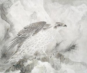 हॉक (फल्के) द्वारा इरी होको