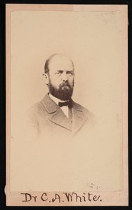 चार्ल्स अबियाथर व्हाइट का पोर्ट्रेट 1826-1910, 1868। द्वारा आइजैक ऑगस्टस विथर्बी