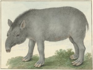  द्वारा इसहाक वैन हास्टर्टो