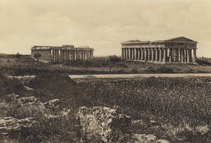 नेपल्स: पेस्टो, नेपच्यून और सेरेस मंदिर (बी / डब्ल्यू फोटो) द्वारा इतालवी फोटोग्राफर