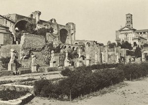 रोमन फोरम, बेसिलिका ऑफ कांस्टेंटाइन, टेम्पल ऑफ रोमुलस और हाउस ऑफ द वेस्टल वर्जिन द्वारा इतालवी फोटोग्राफर