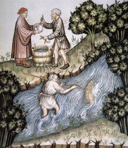 Fol.84r मत्स्य पालन, टाक्यूइनम सैंटियाटिस कोडेक्स विंडोबोनेंसिस से चित्रण द्वारा इतालवी स्कूल