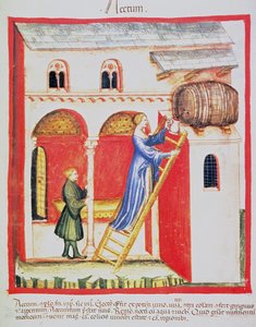 Fol.85v सिरका, Tacuinum Santiatis कोडेक्स Vindobonensis से चित्रण द्वारा इतालवी स्कूल